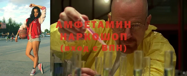 молекула духа Алексин
