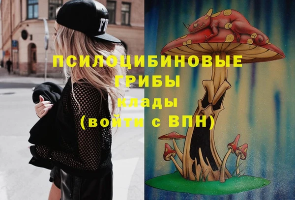 молекула духа Алексин